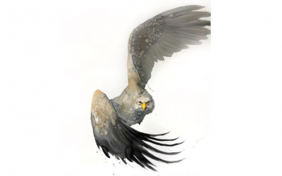 Embodied Imagination and Anxiety