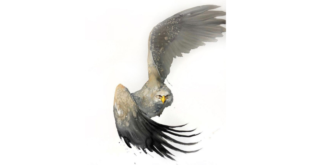 Embodied Imagination and Anxiety